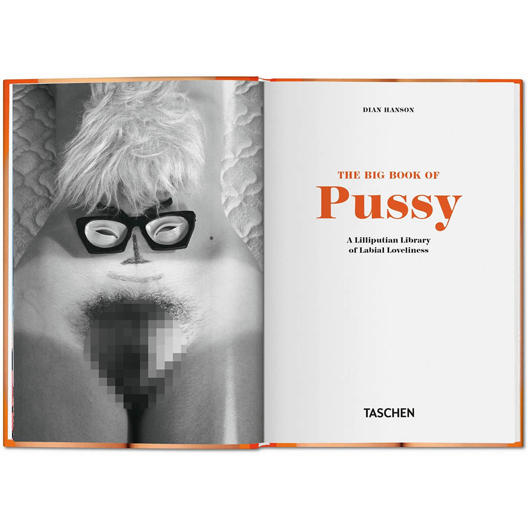THE BIG BOOK OF PUSSY BY DIAN HANSON