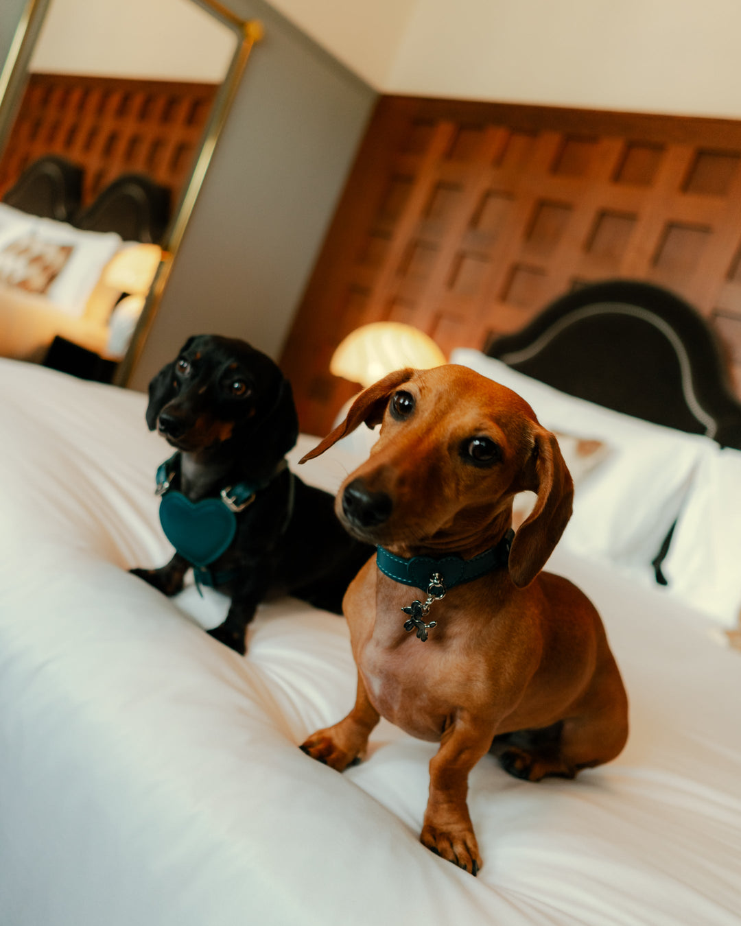 ZouZou ♥ Baurdelle: dove lo stile rompe ogni regola