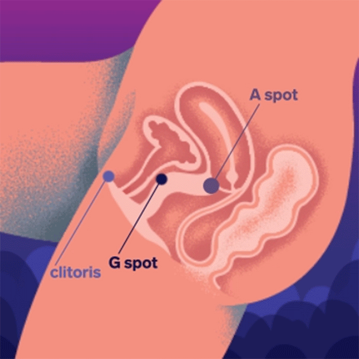 LELO - ENIGMA DOUBLE SONIC VIBRATORE A TRIPLA STIMOLAZIONE