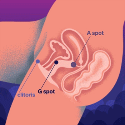 LELO - ENIGMA DOUBLE SONIC VIBRATORE A TRIPLA STIMOLAZIONE