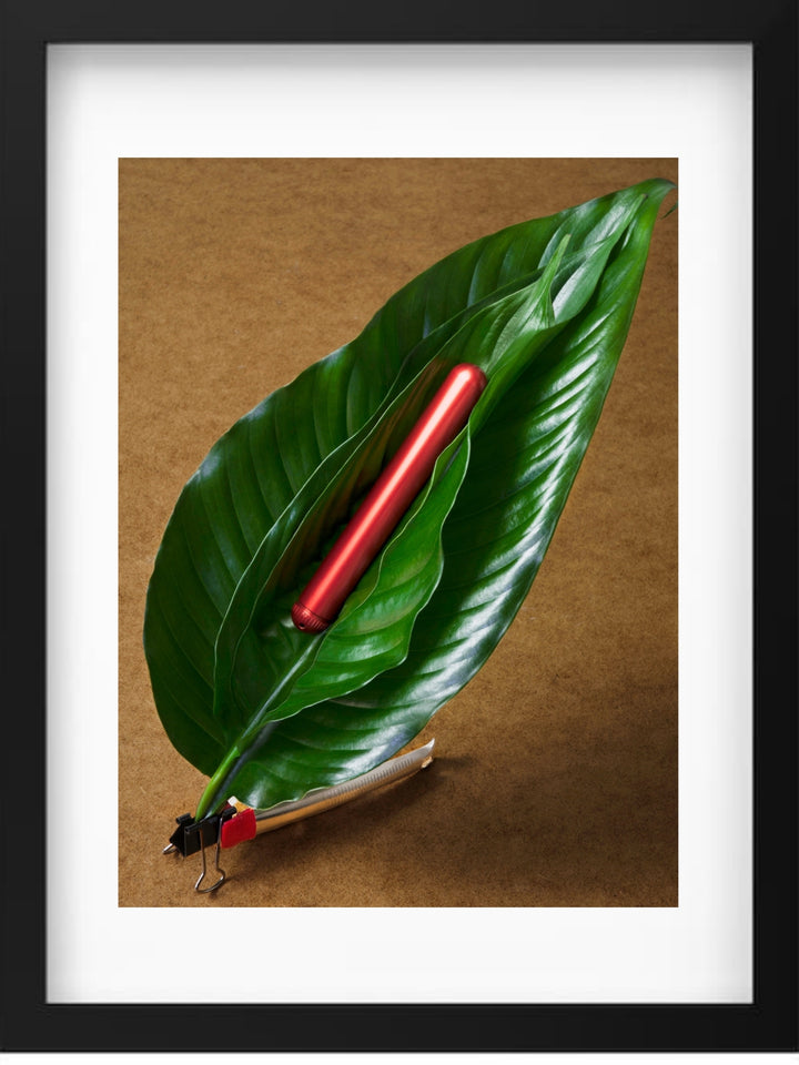 Little Chroma | Federico Massimiliano Mozzano