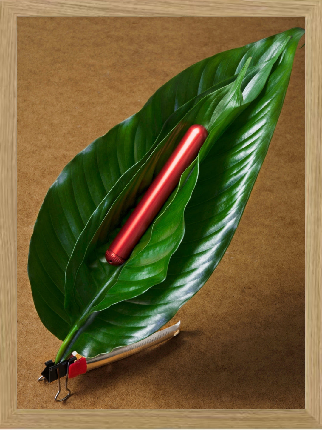 Little Chroma | Federico Massimiliano Mozzano