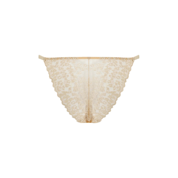 COCO DE MER - SELENA MUTANDINA BRASILIANA