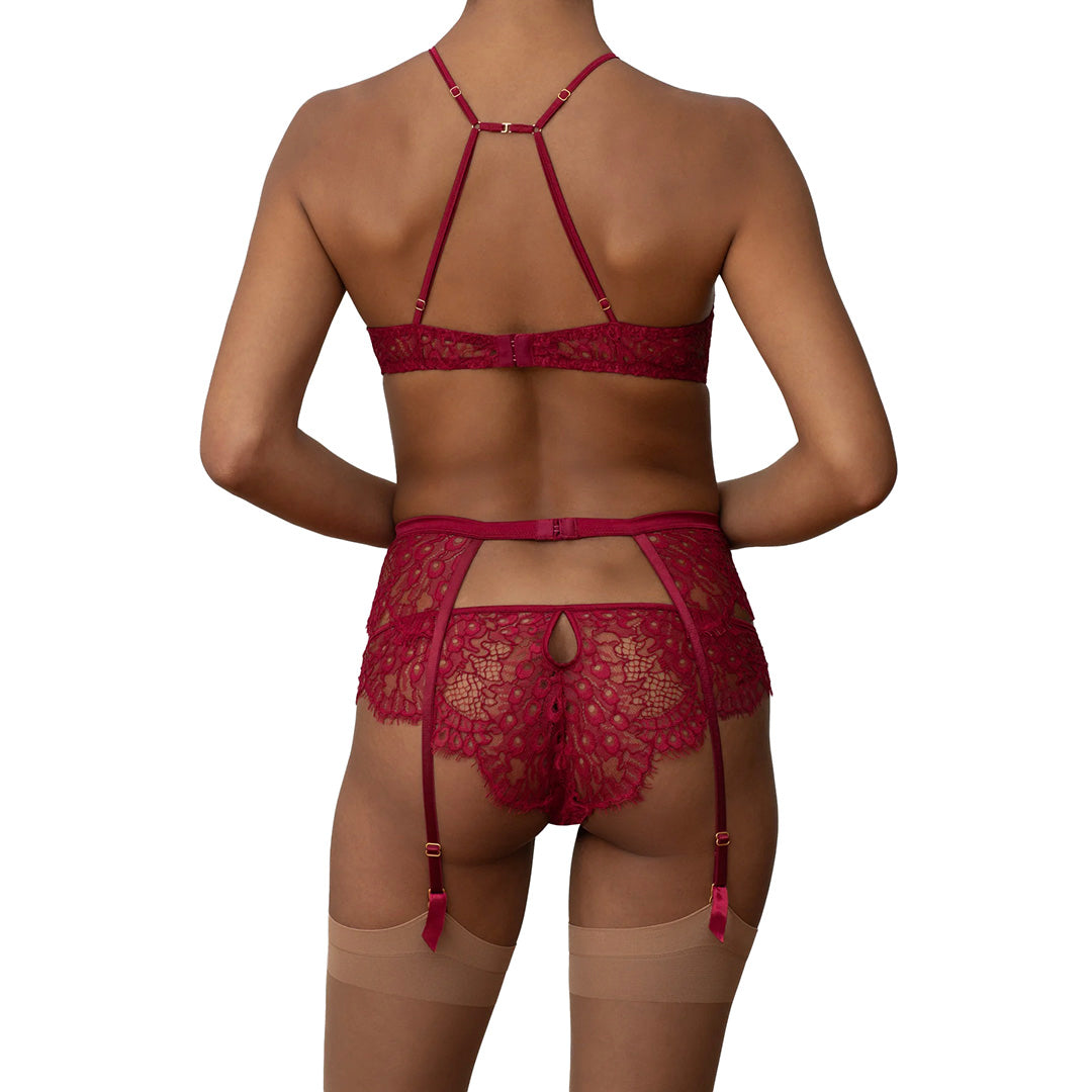 COCO DE MER - ASTRANTIA REGGICALZE