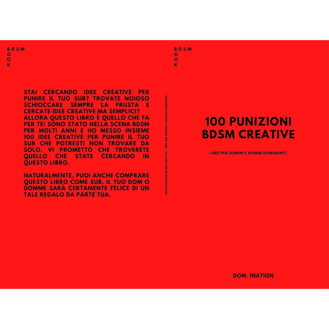 LIBRO - 100 PUNIZIONI BDSM CREATIVE - idee per uomini e donne dominanti -