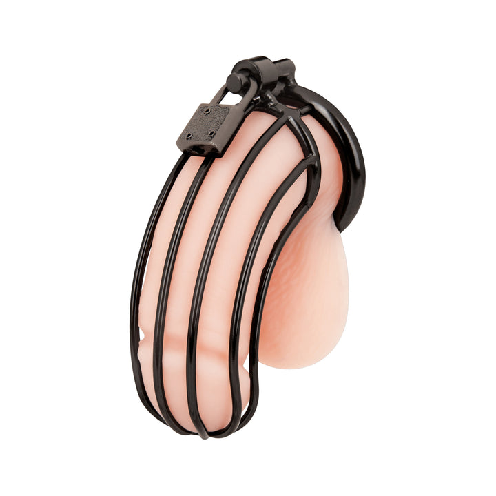 BLUE LINE - GABBIA DI CASTITA' IN ACCIAIO