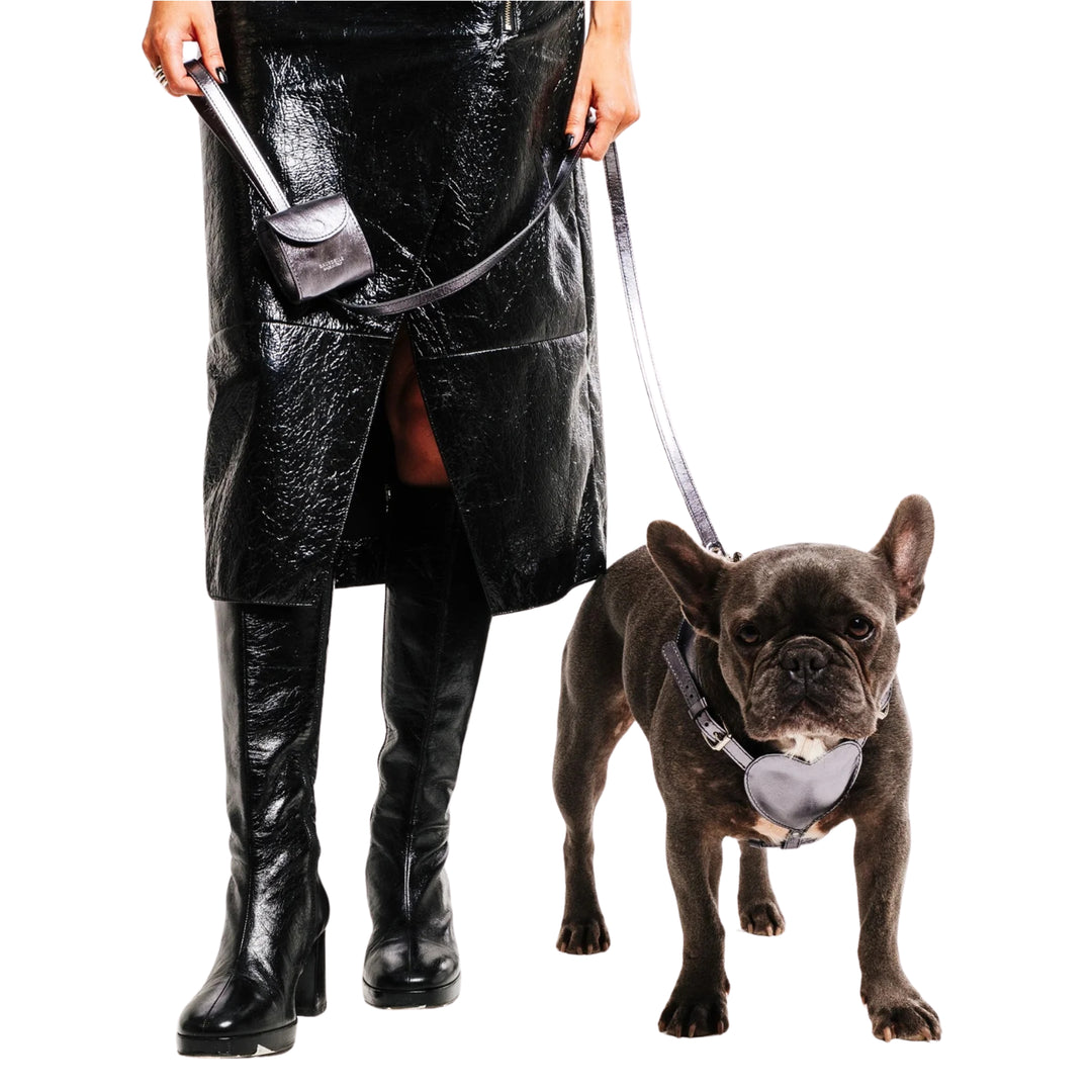 BAURDELLE - MINIMAL LEASH