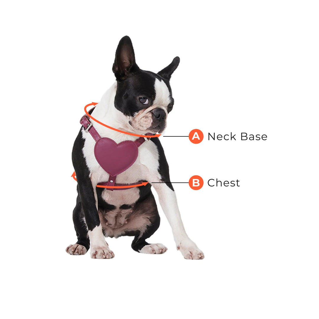 BAURDELLE - HEART HARNESS