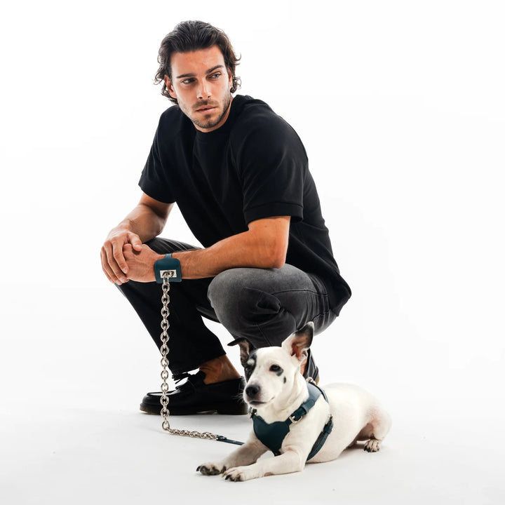 BAURDELLE - LUDO BOX