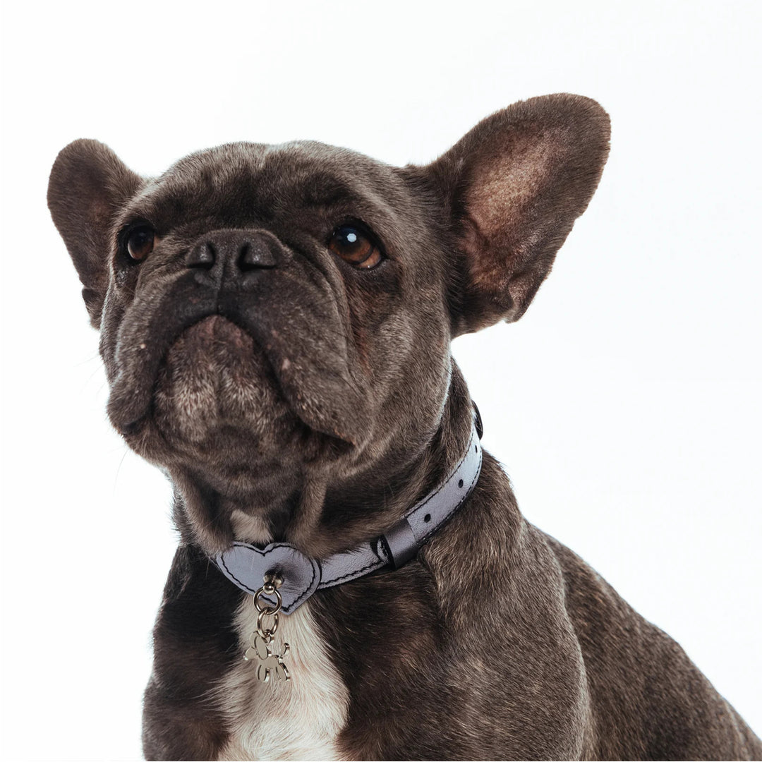 BAURDELLE - HEART COLLAR