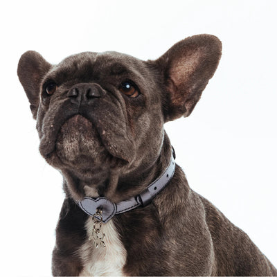 BAURDELLE - HEART COLLAR
