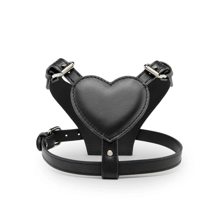 BAURDELLE - HEART HARNESS