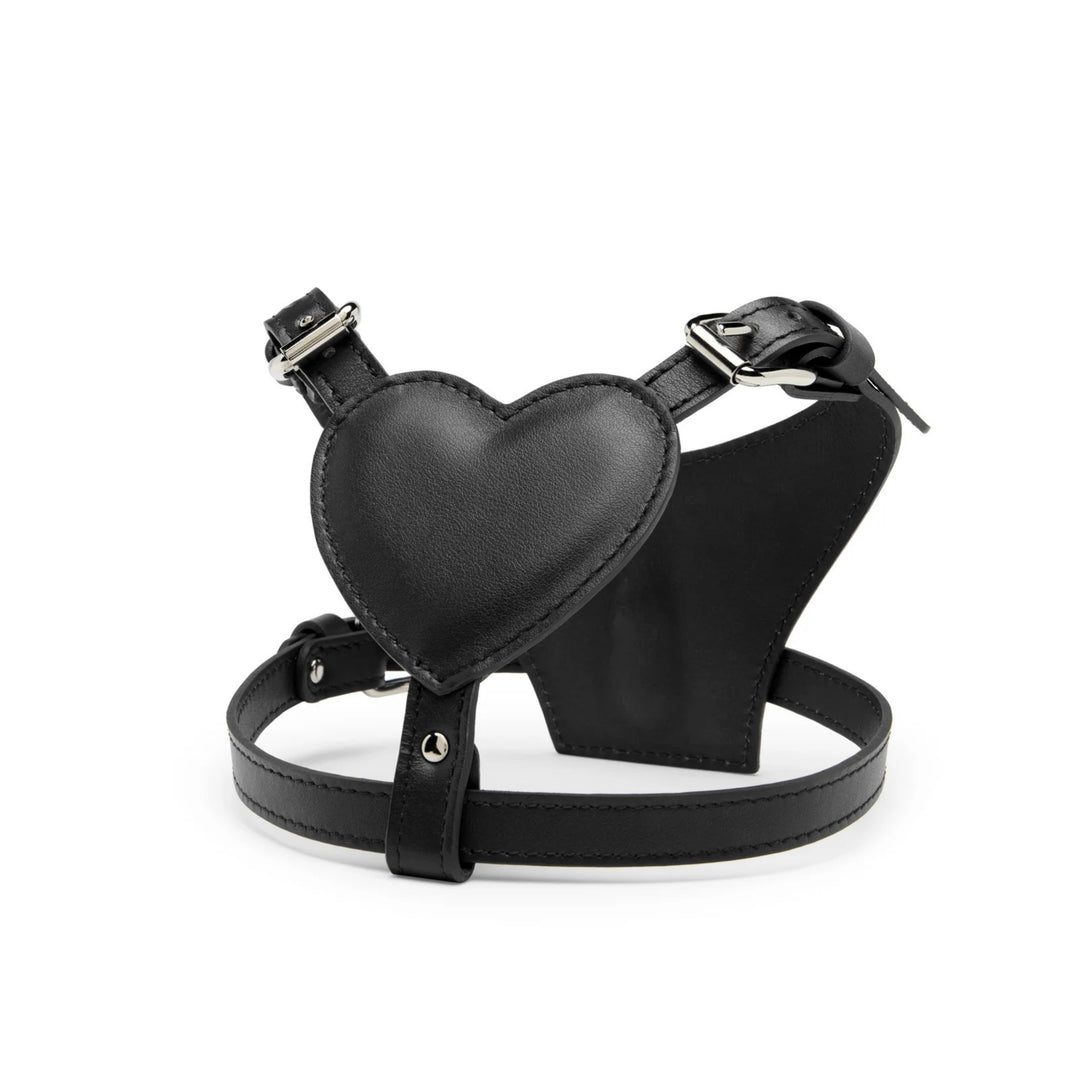 BAURDELLE - HEART HARNESS