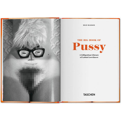 THE LITTLE BIG BOOK OF PUSSY DI DIAN HANSON