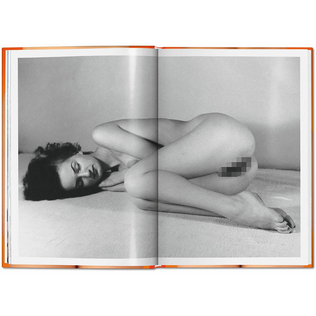 THE LITTLE BIG BOOK OF PUSSY DI DIAN HANSON