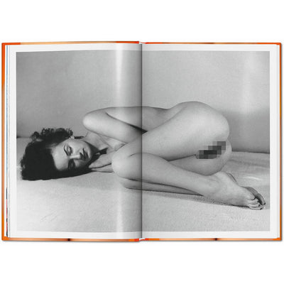 THE LITTLE BIG BOOK OF PUSSY DI DIAN HANSON