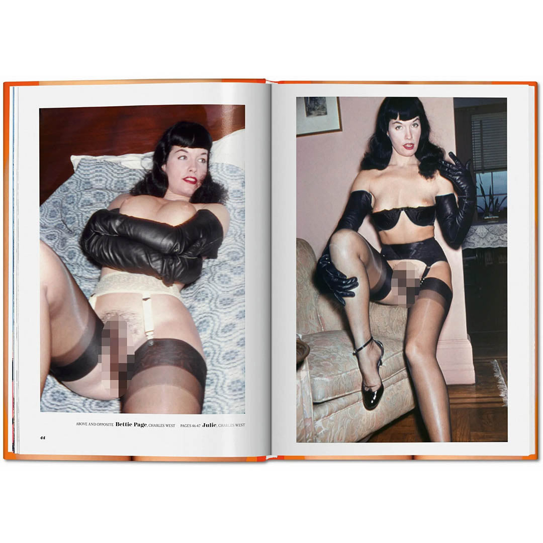 THE LITTLE BIG BOOK OF PUSSY DI DIAN HANSON