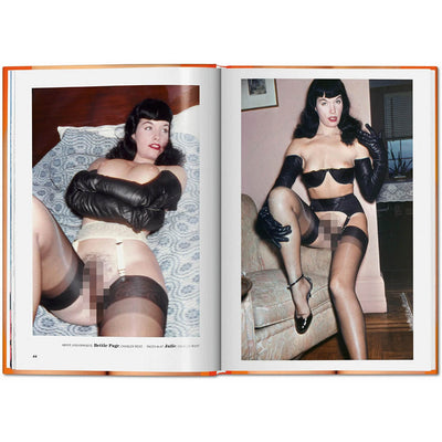 THE LITTLE BIG BOOK OF PUSSY DI DIAN HANSON