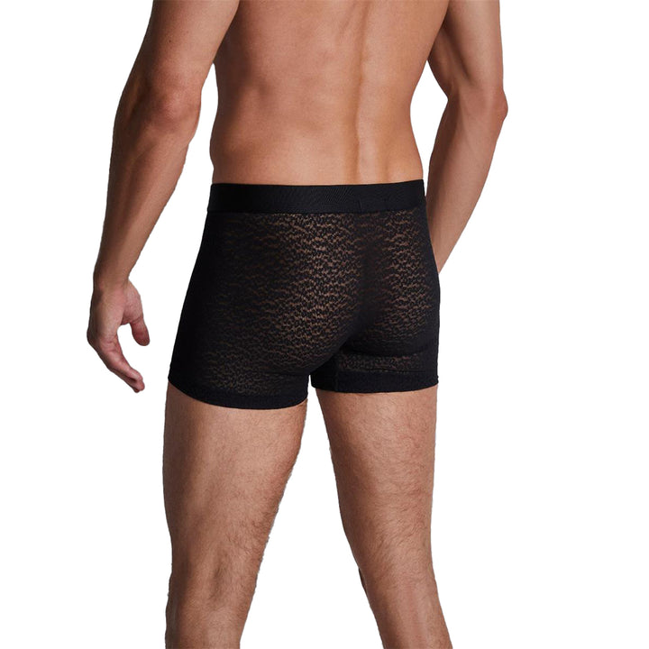 AUBADE - WILD BOXER UOMO