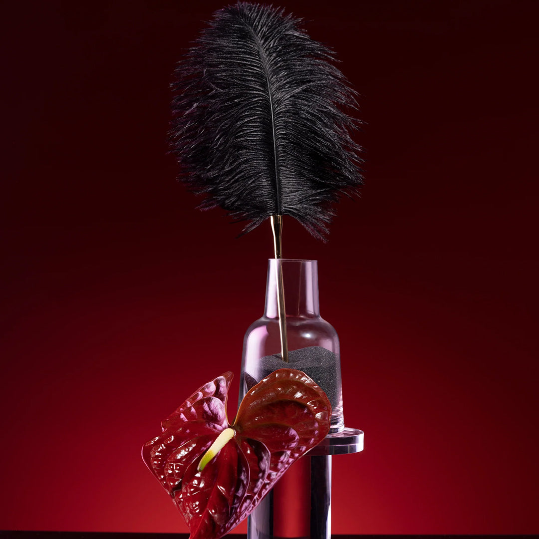 UPKO - PIUMA DI STRUZZO