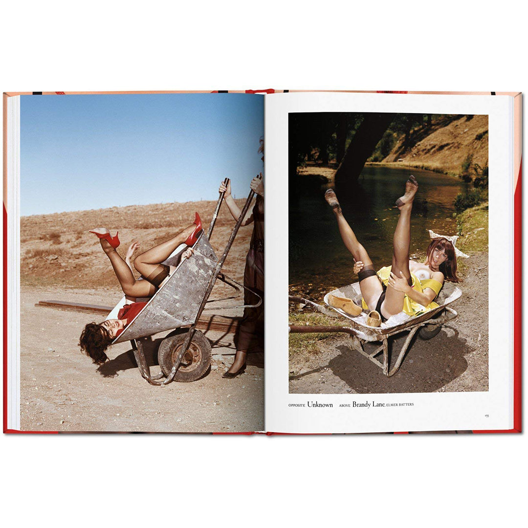 THE LITTLE BIG BOOK OF LEGS BY DIAN HANSON